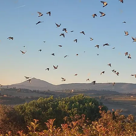Essenza Di Toscana With View Montepulciano Stazione